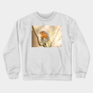 Wistful robin Crewneck Sweatshirt